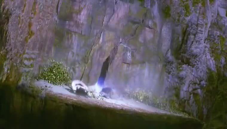 动物帮帮忙保卫家园