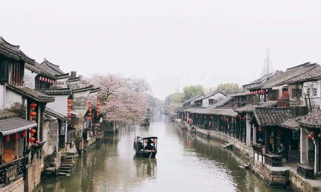 从保护一粒种子到守护广袤黑土地安全……